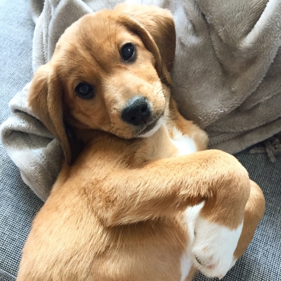 Meet your Posher, Jean - Picture 2 of 2